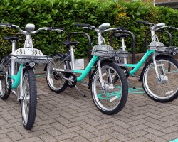 Beryl cycle hire (2019)